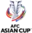 Pohár AFC