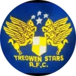 Treowen Stars