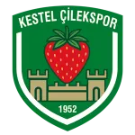 Kestel Çilek